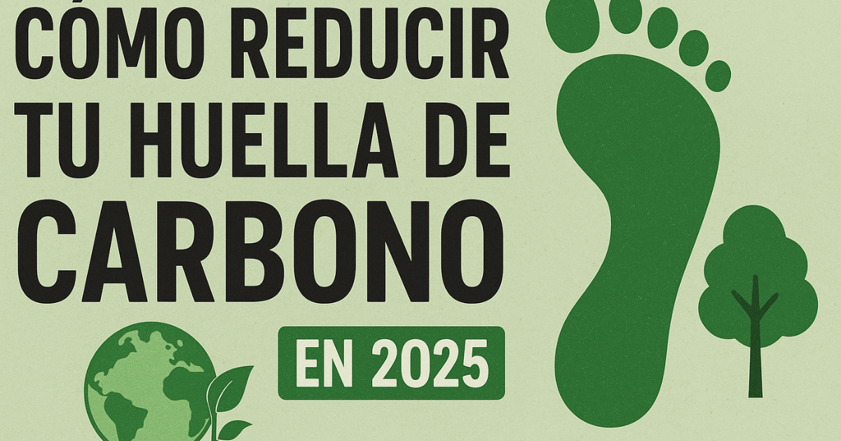Cómo Reducir tu Huella de Carbono en 2025: 5 Consejos Prácticos
