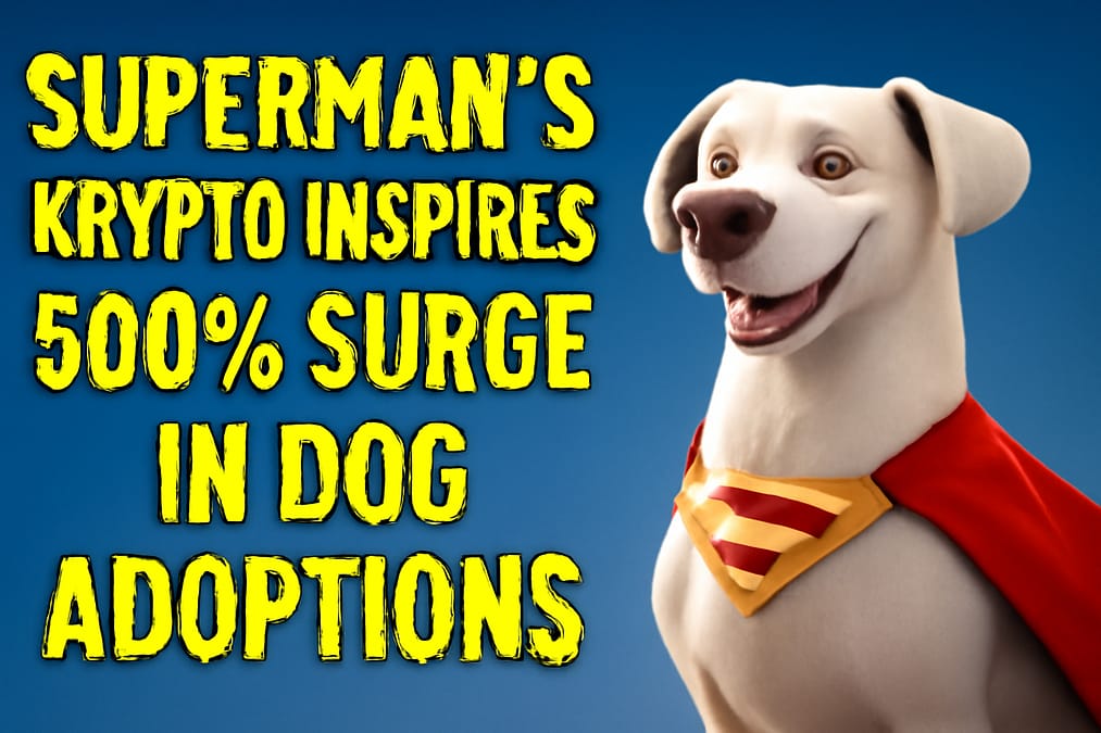 Superman's Krypto Inspires 500% Surge in Dog Adoptions